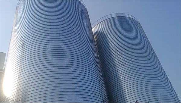 淮南2座混凝土高架卷板仓